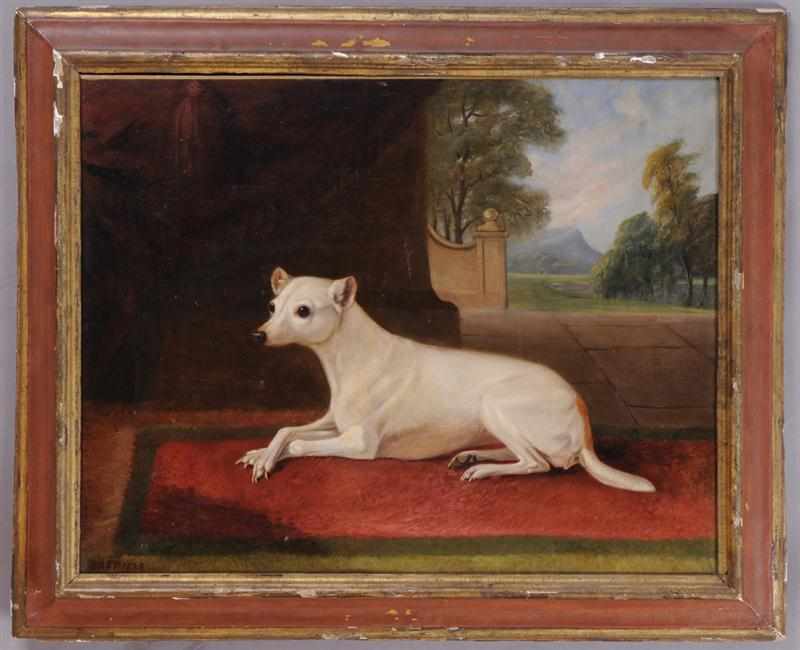 Appraisal: WHITE TERRIER Oil on canvas relined and restretched indistinctly signed