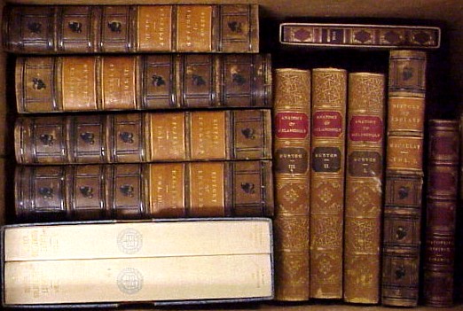 Appraisal: BOOKS Macaulay History of England NY ca leather five volumes