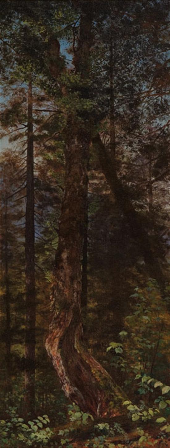 Appraisal: WORTHINGTON WHITTREDGE American - Pine Trees Minerva c - oil