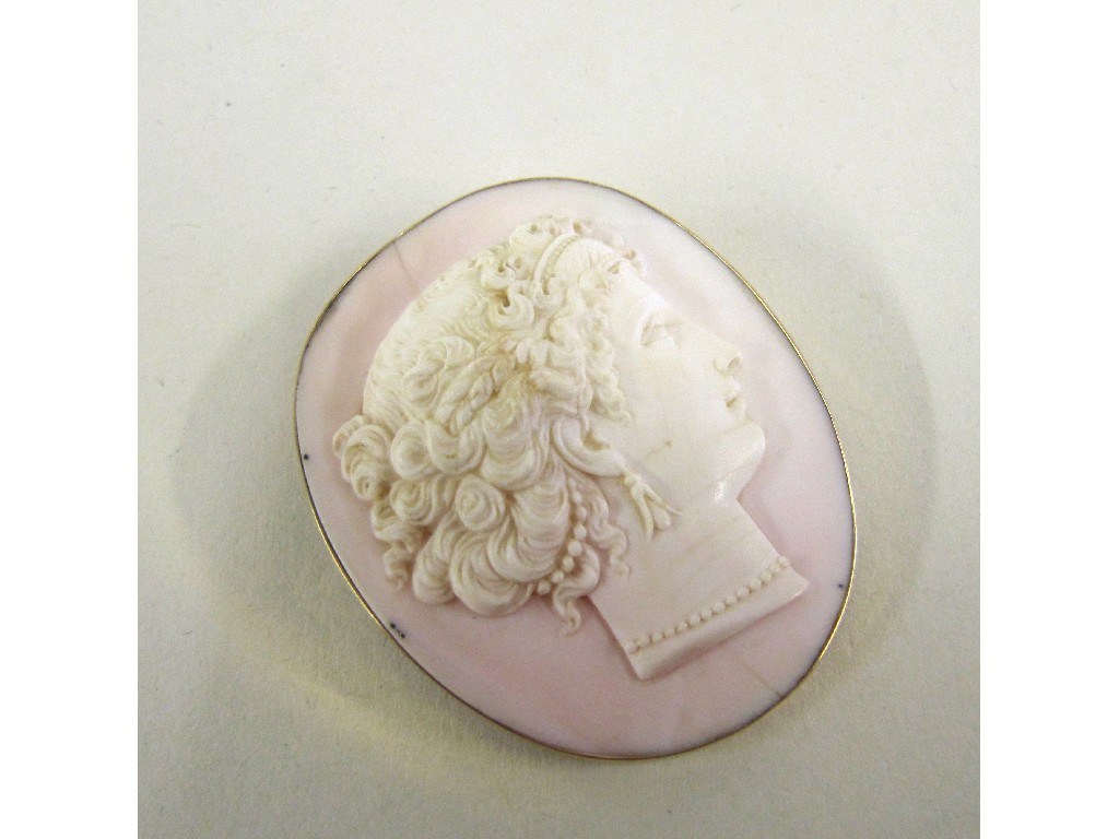 Appraisal: Fifteen carat gold mounted cameo brooch