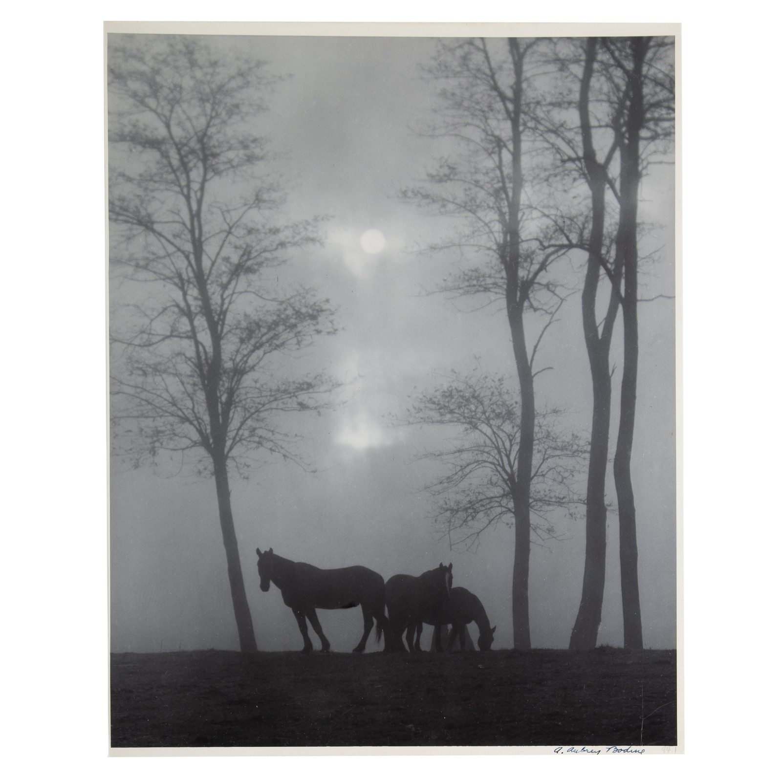 Appraisal: A AUBREY BODINE EARLY MORNING MIST American - Gelatin silver