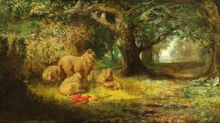 Appraisal: Painting Phillippe Rossi Phillippe Rossi Italian th century Sheep Resting