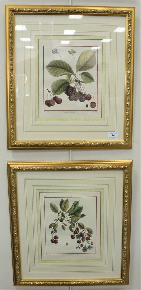 Appraisal: Eight Piece Group of Botanical Engravings with hand coloring from