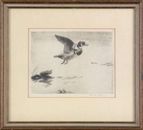 Appraisal: Earl Lincoln Poole American - engraving of a duck taking