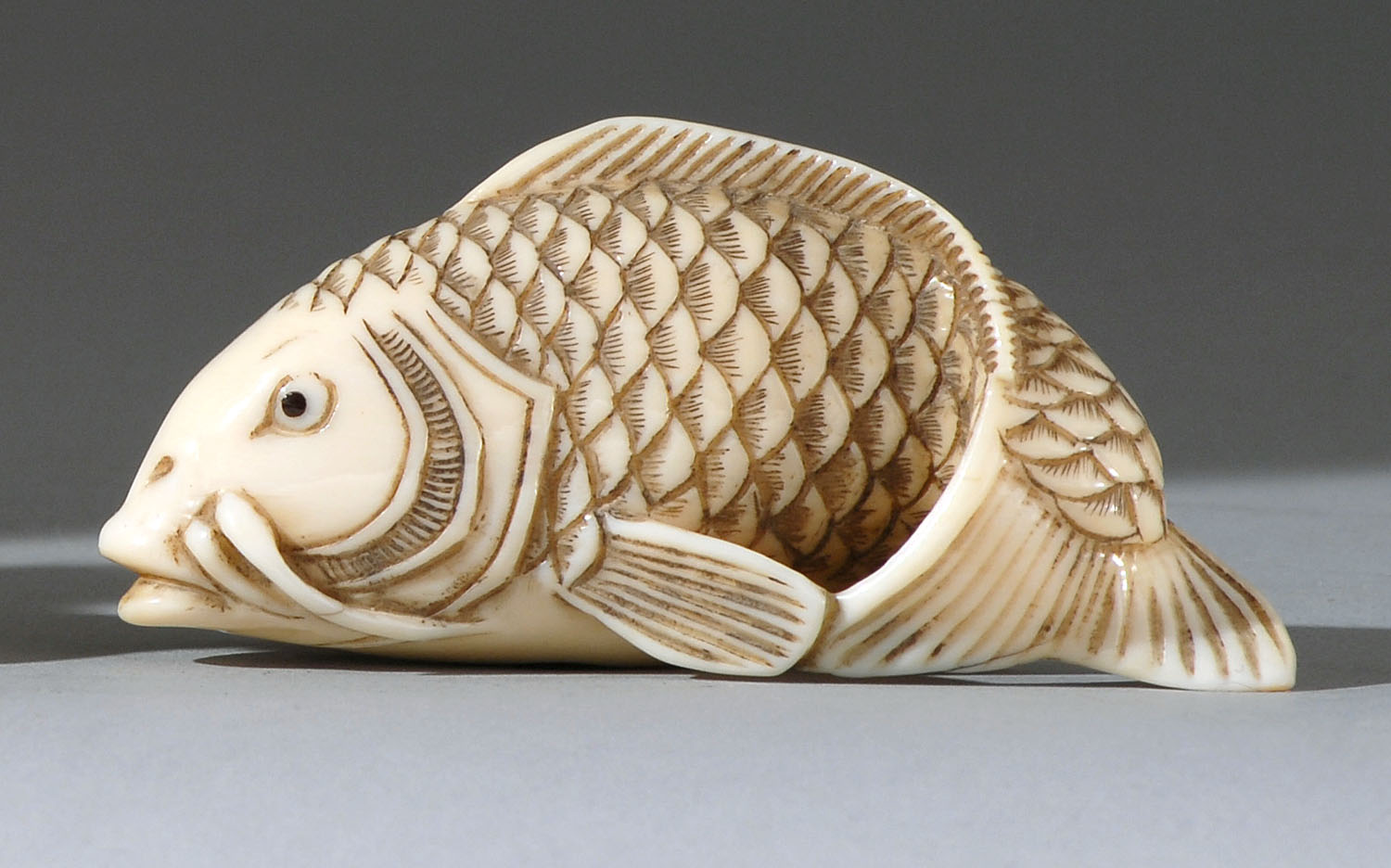 Appraisal: IVORY NETSUKE th CenturyIn the form of a carp with