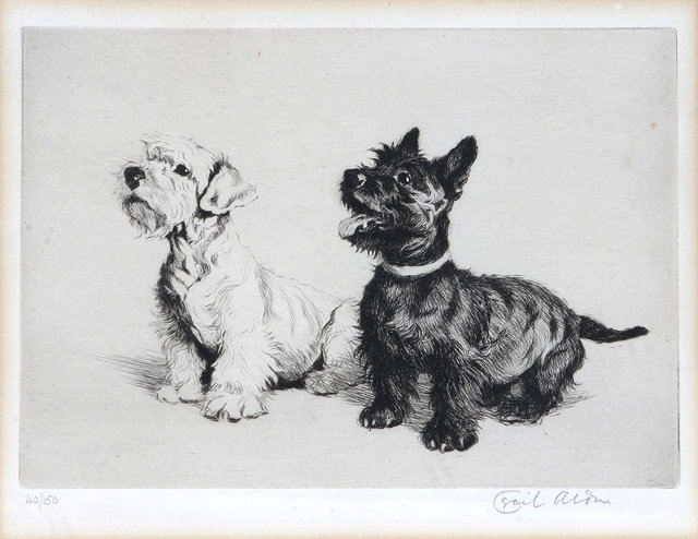 Appraisal: CECIL ALDIN - Two scottie dogs etching pencil signed in