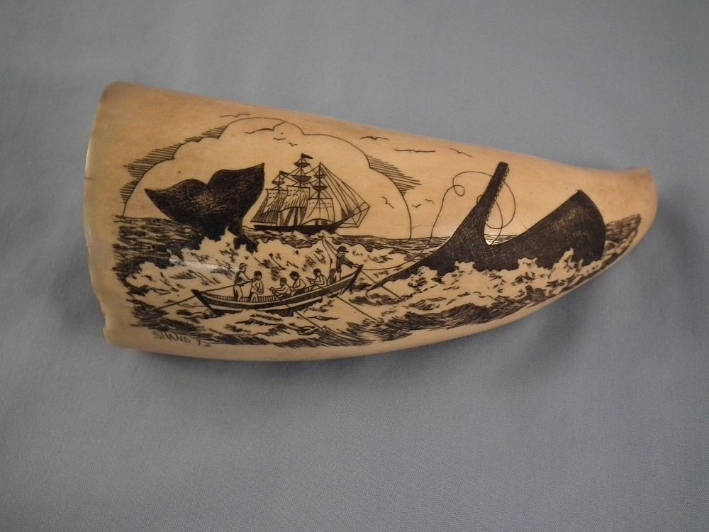 Appraisal: ANTIQUE SCRIMSHAW WHALE TOOTH Antique whale tooth with later scrimshaw