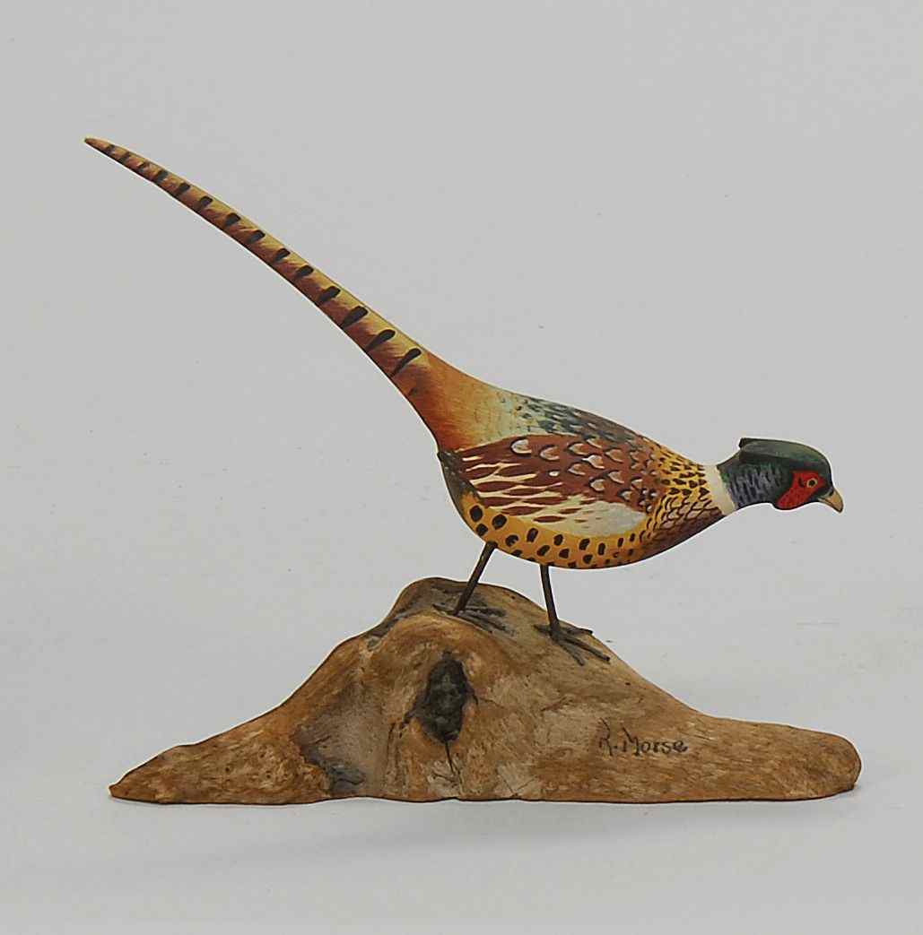 Appraisal: MINIATURE RINGNECK PHEASANTBy Robert Morse of Ellsworth Maine Mounted on