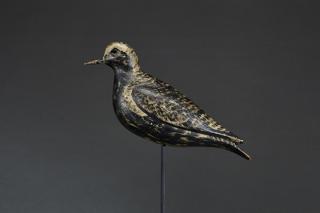 Appraisal: The McCleery Bunn Bowman Golden Plover The McCleery Bunn Bowman