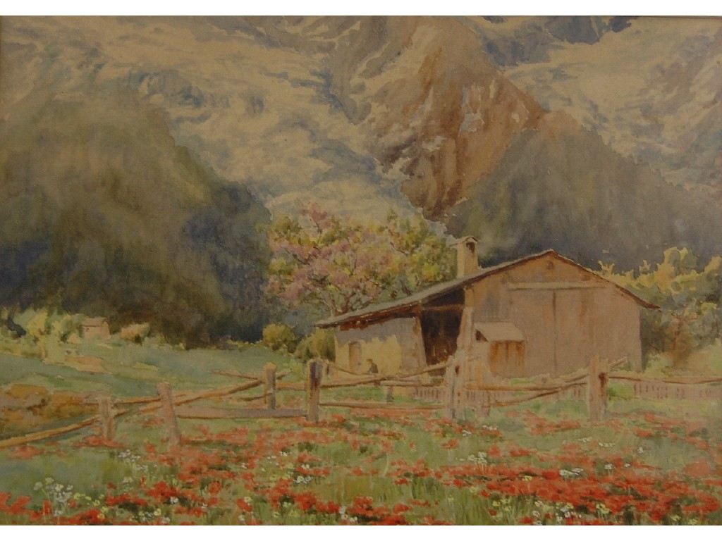 Appraisal: C G Blampied - Alpine scene with mountain flowers watercolour