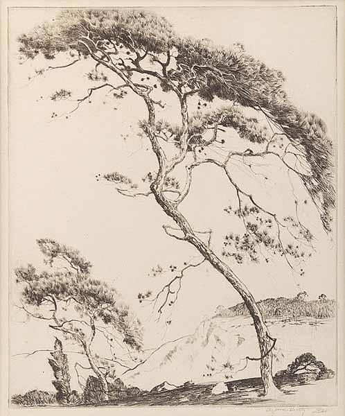 Appraisal: Alfred Heber Hutty American Charleston - Loblolly Pines etching pencil-signed