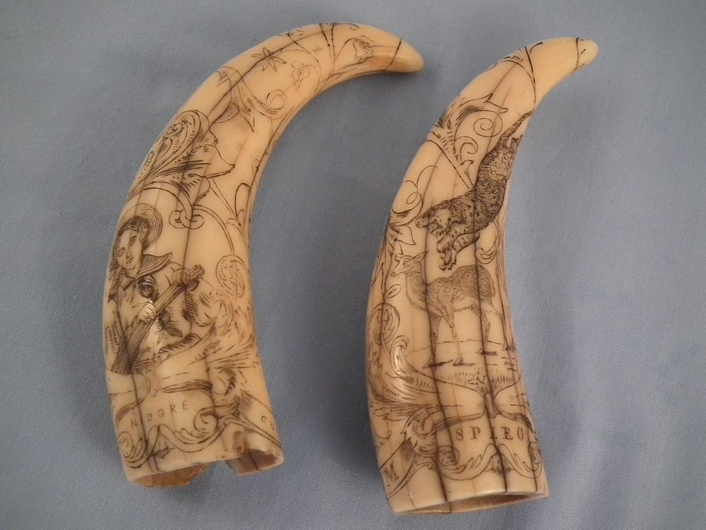 Appraisal: PAIR ANTIQUE WHALE TEETH Pair of small antique scrimshaw whale's