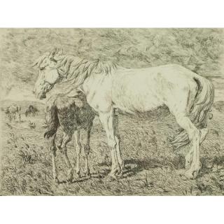 Appraisal: Evert Van Muyden Etching Framed etching of horses signed in