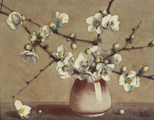 Appraisal: A T BERNALDO - Japonica White watercolour A T BERNALDO