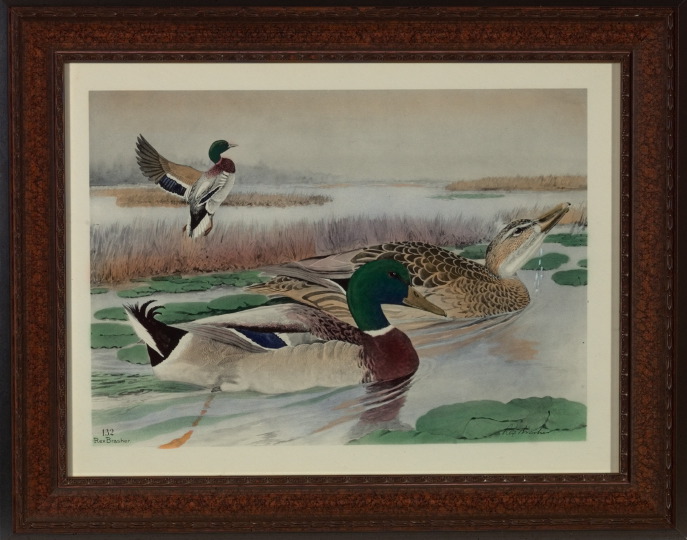 Appraisal: Rex Brasher American - Mallards and Redheads pair of hand-colored