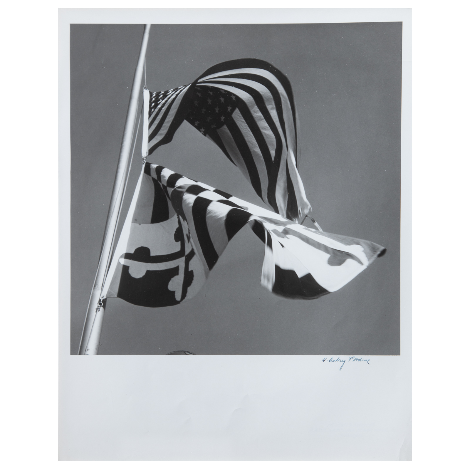 Appraisal: A AUBREY BODINE FLAGS PHOTOGRAPH American - Gelatin silver print