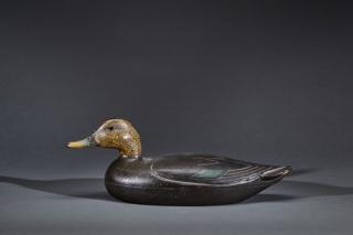 Appraisal: Black Duck Charles Hart Black DuckCharles Hart - Gloucester MA