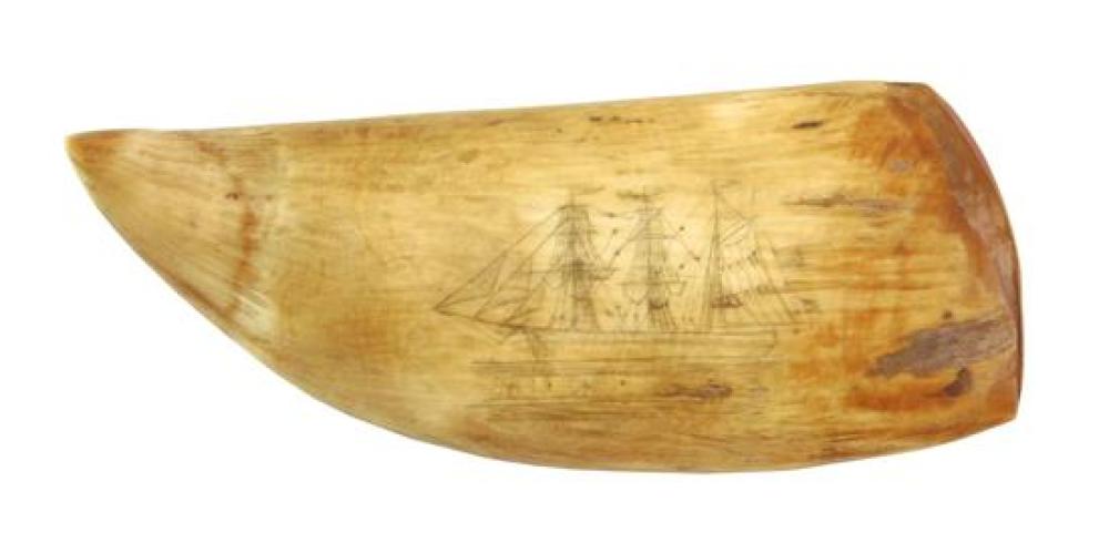 Appraisal: th C American scrimshaw Goodspeed Opera House decorated sperm whale