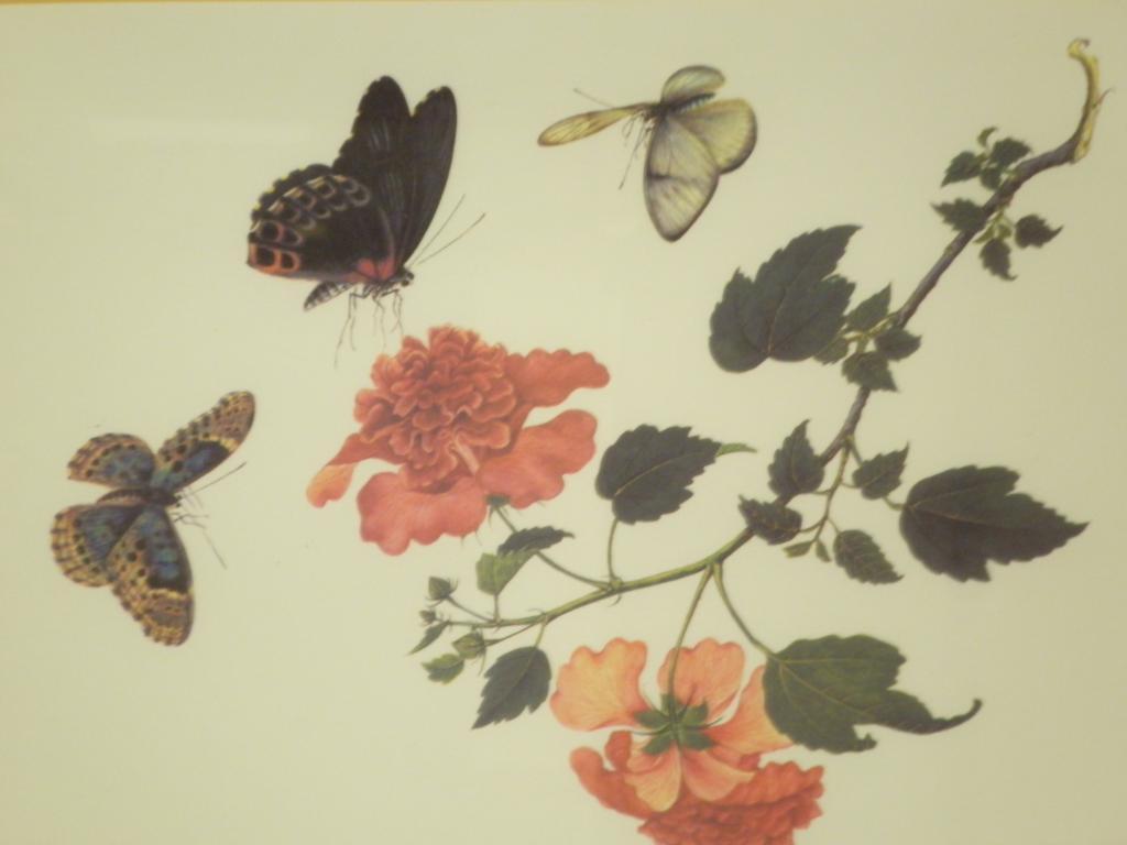 Appraisal: A set of four framed botanical prints and a quantity