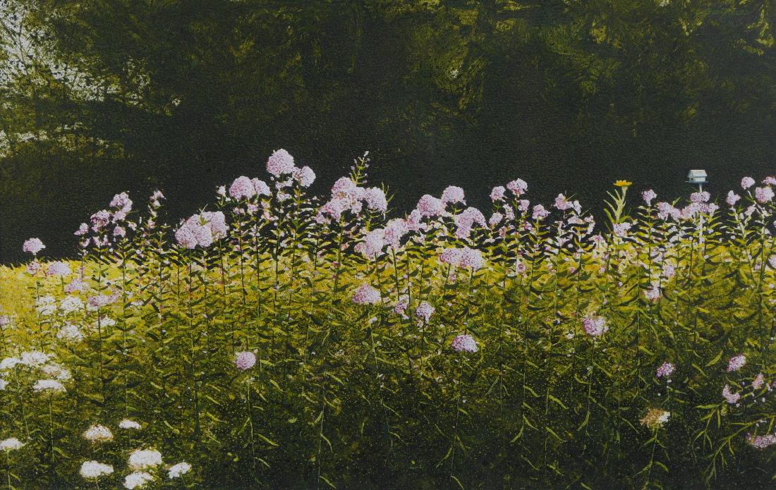 Appraisal: AKERS Gary American - Field of Phlox Watercolor Gouache Board