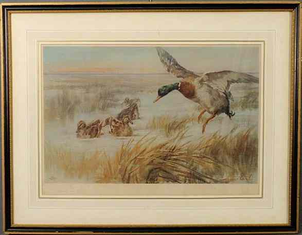 Appraisal: German print of mallard ducks pencil signed ---- Earl x