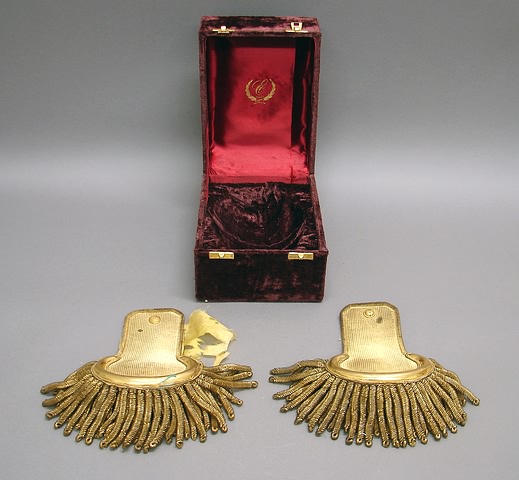 Appraisal: Cased pair of United States military epaulettes Yellow silk backed