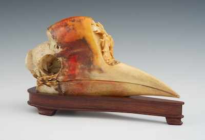 Appraisal: A Carved Hornbill Skull ca th Century Front lobe carved