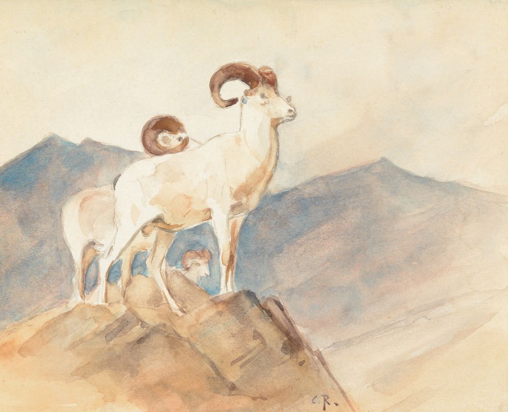 Appraisal: Carl Rungius Dall Sheep Bear Carl Rungius Dall Sheep Bear