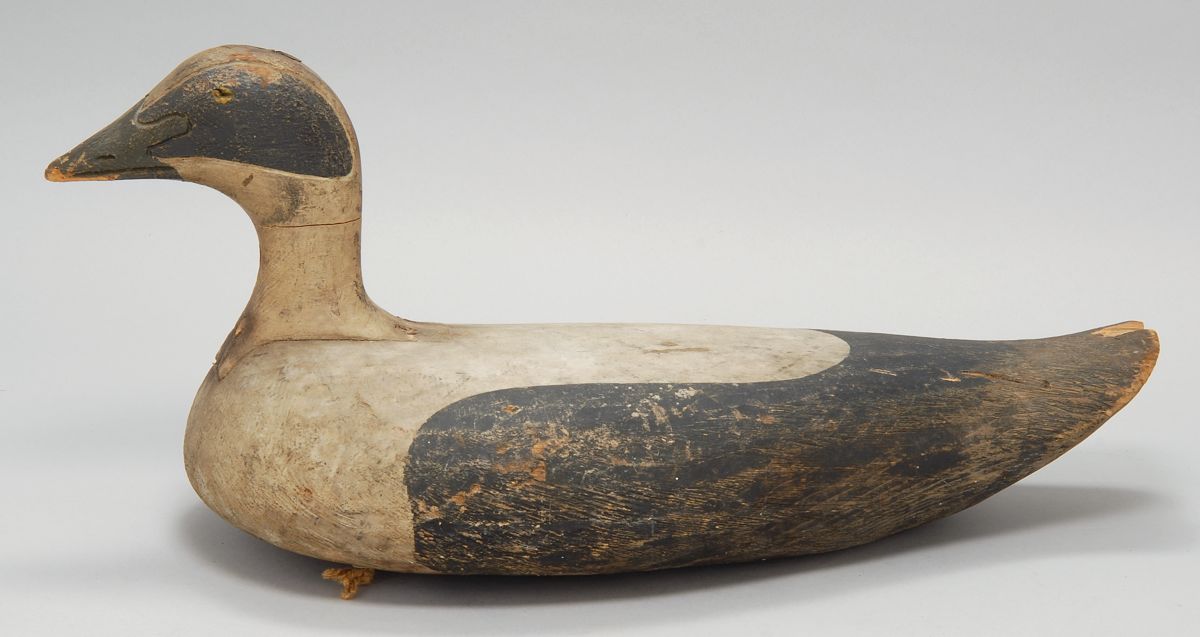 Appraisal: IMPORTANT OVERSIZE EIDER DRAKE DECOY From the Rockland Maine area