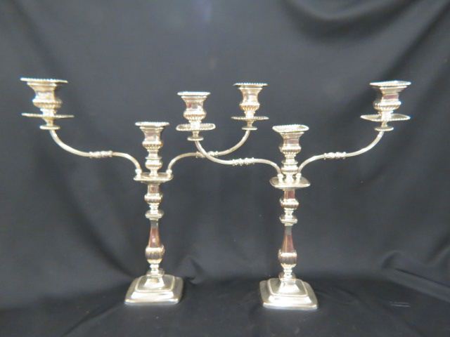 Appraisal: Sheffield Silverplate Candelabra pair gadroon border triple sconce convertible to