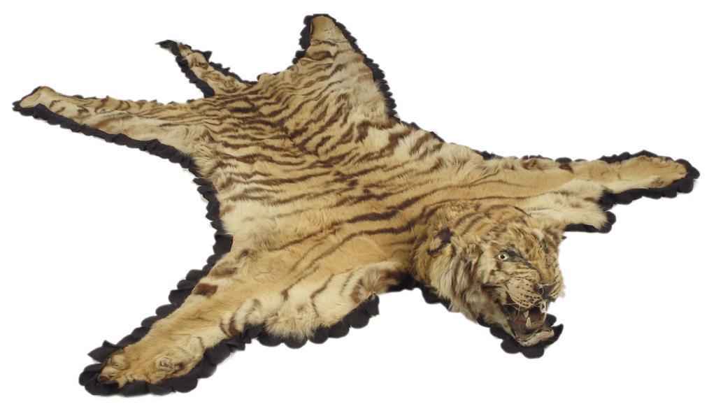 Appraisal: Rowland Ward A tiger skin