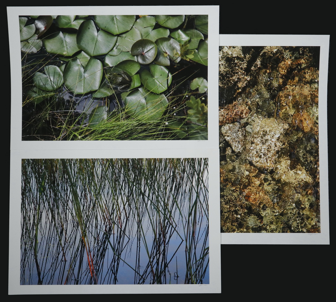 Appraisal: CHRIS JONES HIGH RESOLUTION COLOR PHOTOGRAPHS UNFRAMED Nature Studies Frog