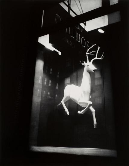 Appraisal: Berenice Abbott - Designer s Window Bleeker Street Gelatin silver