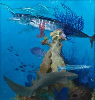 Appraisal: Wahoo by Stanley Meltzoff Stanley Meltzoff - Wahoo oil on