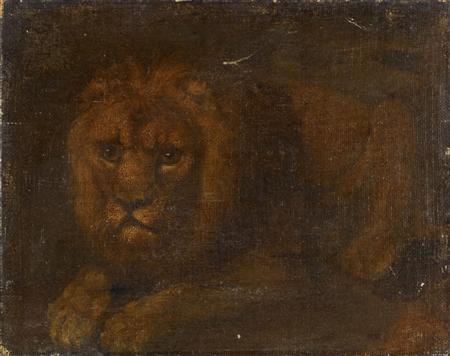 Appraisal: TH CENTURY ENGLISH SCHOOL LION STUDY Oil on canvas laid