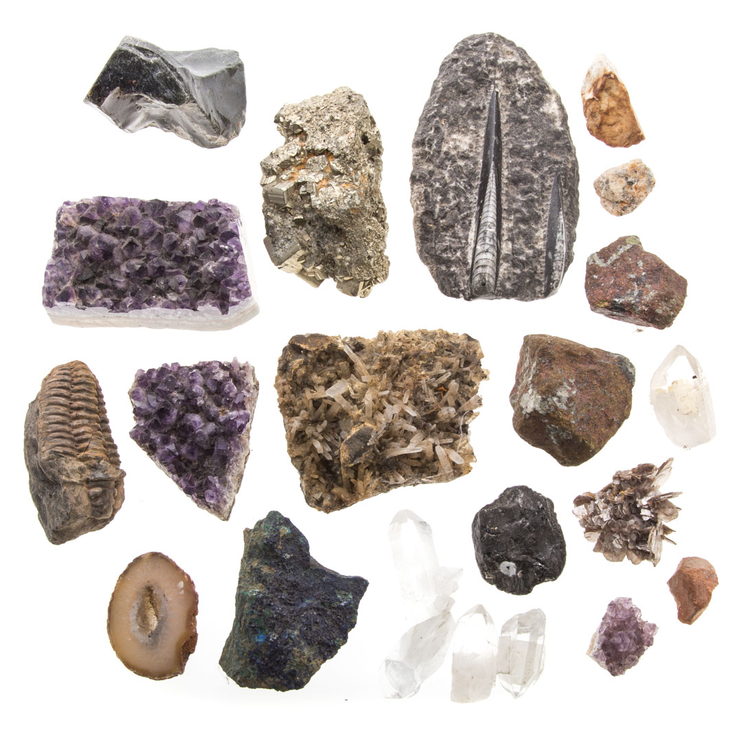 Appraisal: Assorted rock and mineral specimins including trilobite amethyst geodes pyrites