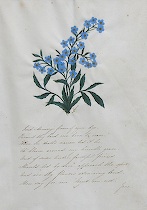 Appraisal: Forget-Me-Nots and poem signed Jane A very sentimental work on