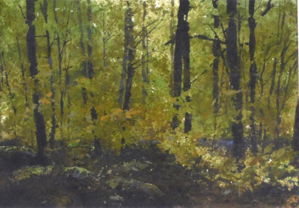 Appraisal: Robert Highsmith American b Forest watercolor on paper rich green