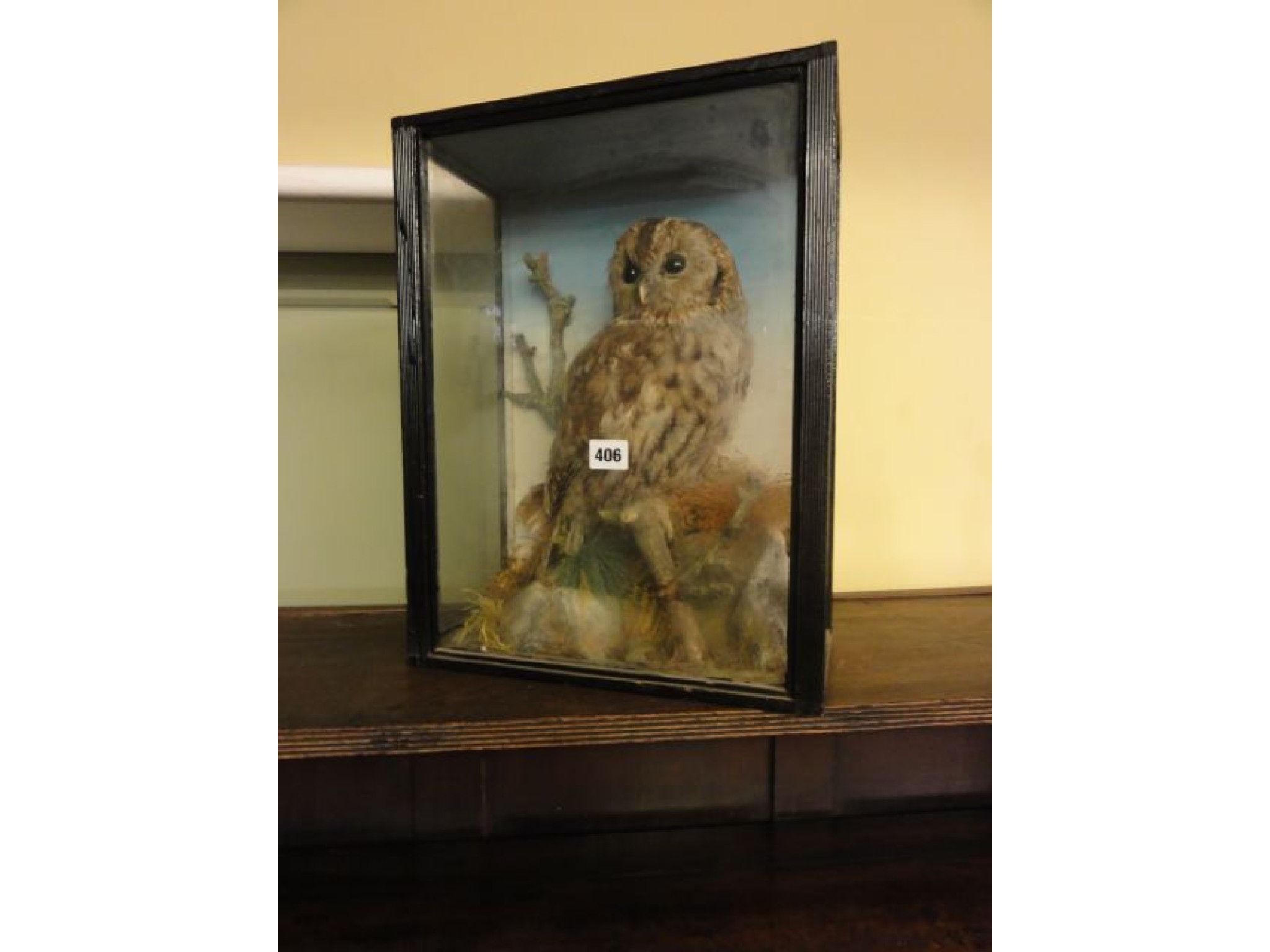 Appraisal: A stuffed and mounted tawny owl in a naturalistic setting