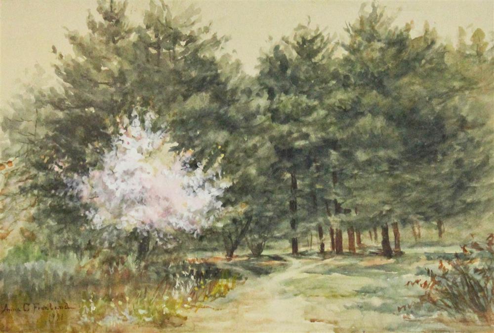 Appraisal: ANNA C FREELAND AMERICAN - FOREST SCENE Watercolor on paper