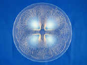 Appraisal: Rene Lalique A glass dish Coquilles pattern wheel engraved in