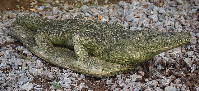 Appraisal: AN OLD CAST CONCRETE SCULPTURE of a crocodile cm wide