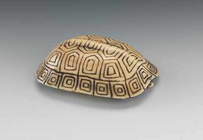 Appraisal: Carved Ivory Netsuke of a Turtle ca th Century Signed