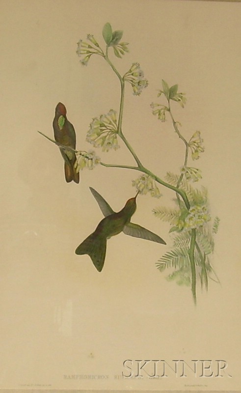 Appraisal: Two Gould Ornithological Prints of Hummingbirds Image sizes x in