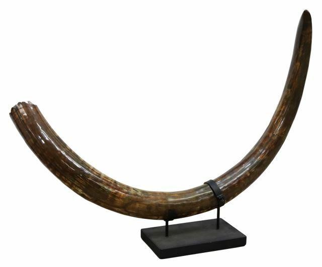 Appraisal: Polished petrified woolly mammoth tusk displayed on an iron stand