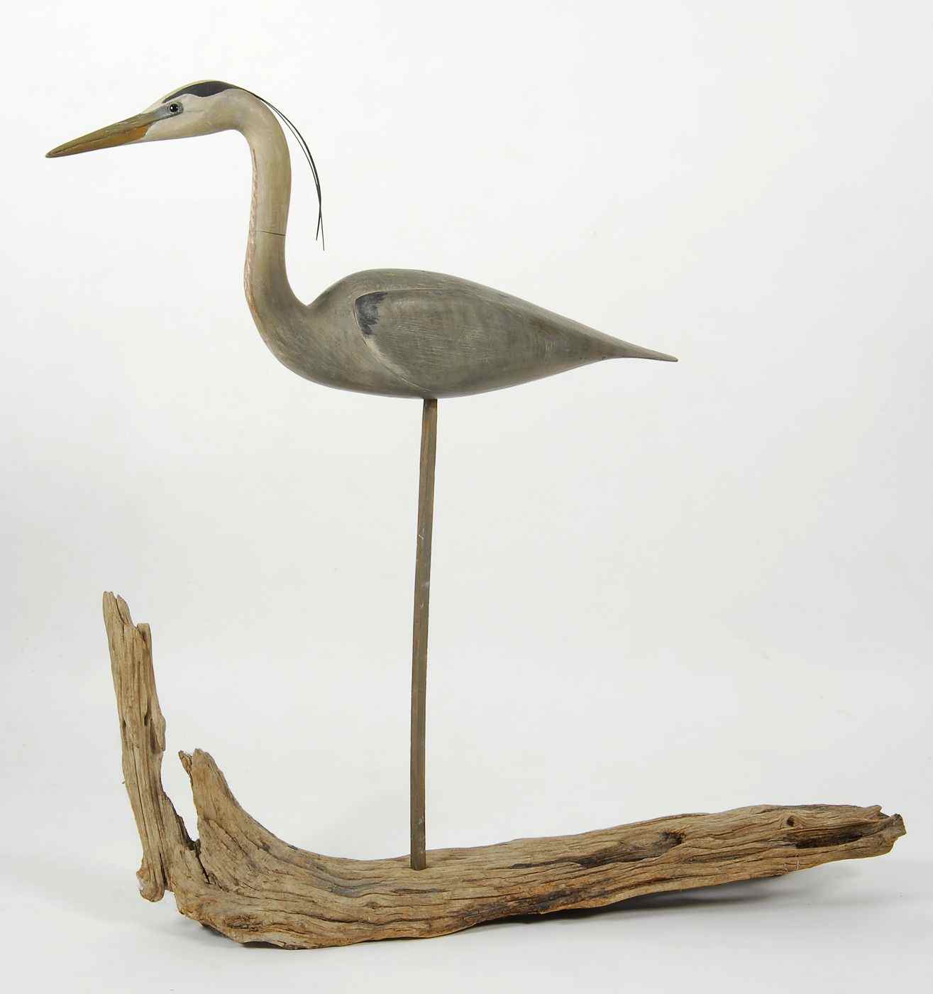 Appraisal: FINE LIFE-SIZE GREAT BLUE HERON DECOYBy William Gibian of Onancock