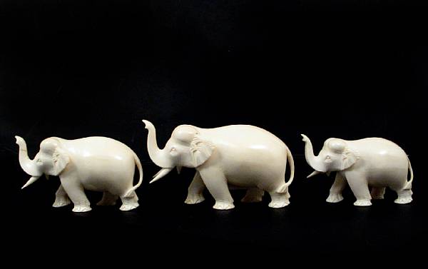 Appraisal: Three carved Indian ivory figures of elephants height of largest