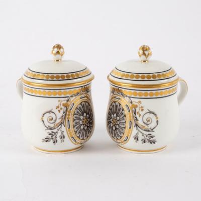 Appraisal: A pair of Vienna lidded cups painted patera and scrolls