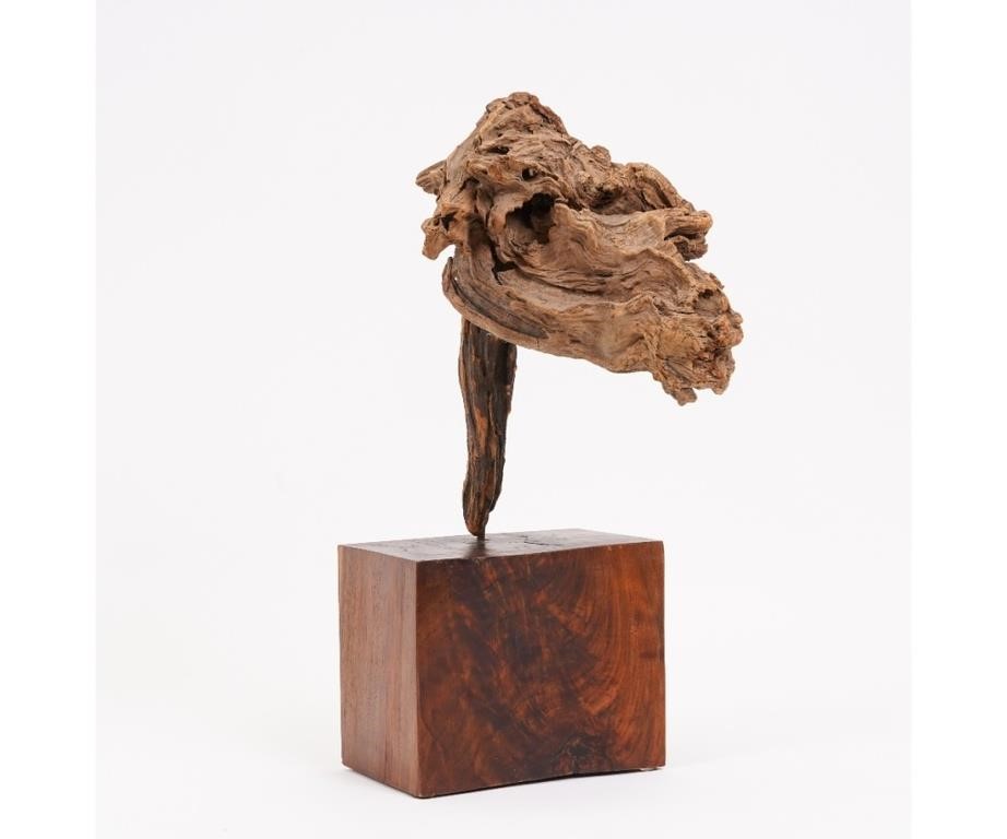 Appraisal: Unusual driftwood horse head sculpture mounted on a mahogany block