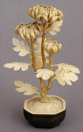 Appraisal: JAPANESE CARVED IVORY CHRYSANTHEMUM GROUP SIGNED KOG YOKU Comprising stems